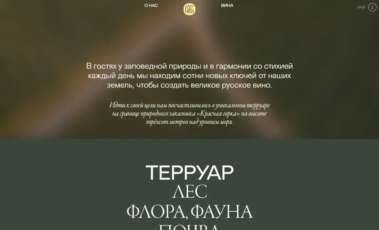 Посмотреть сайт