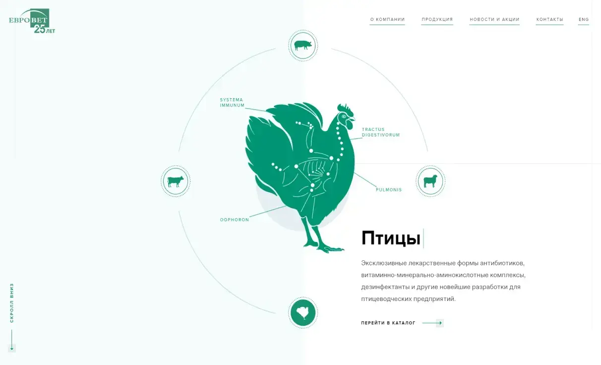 Посмотреть сайт