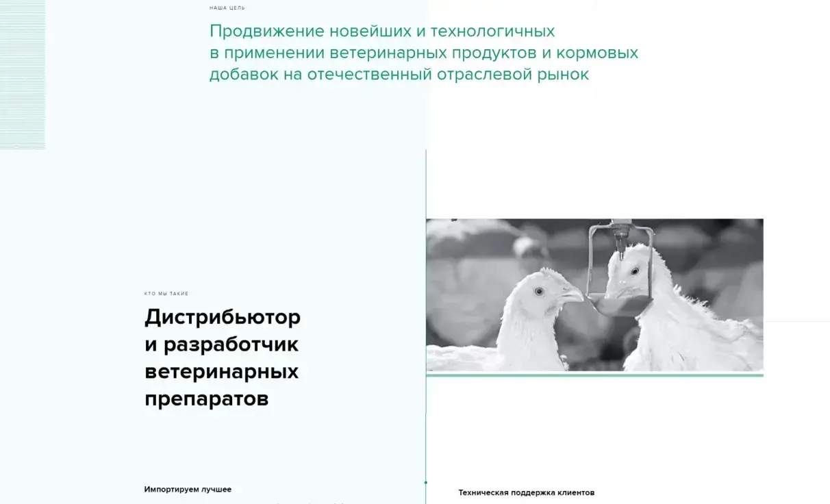 Посмотреть сайт