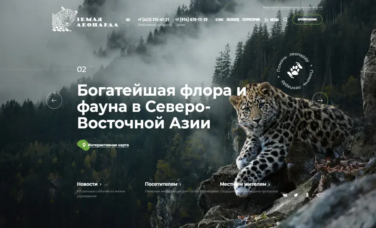 Посмотреть сайт