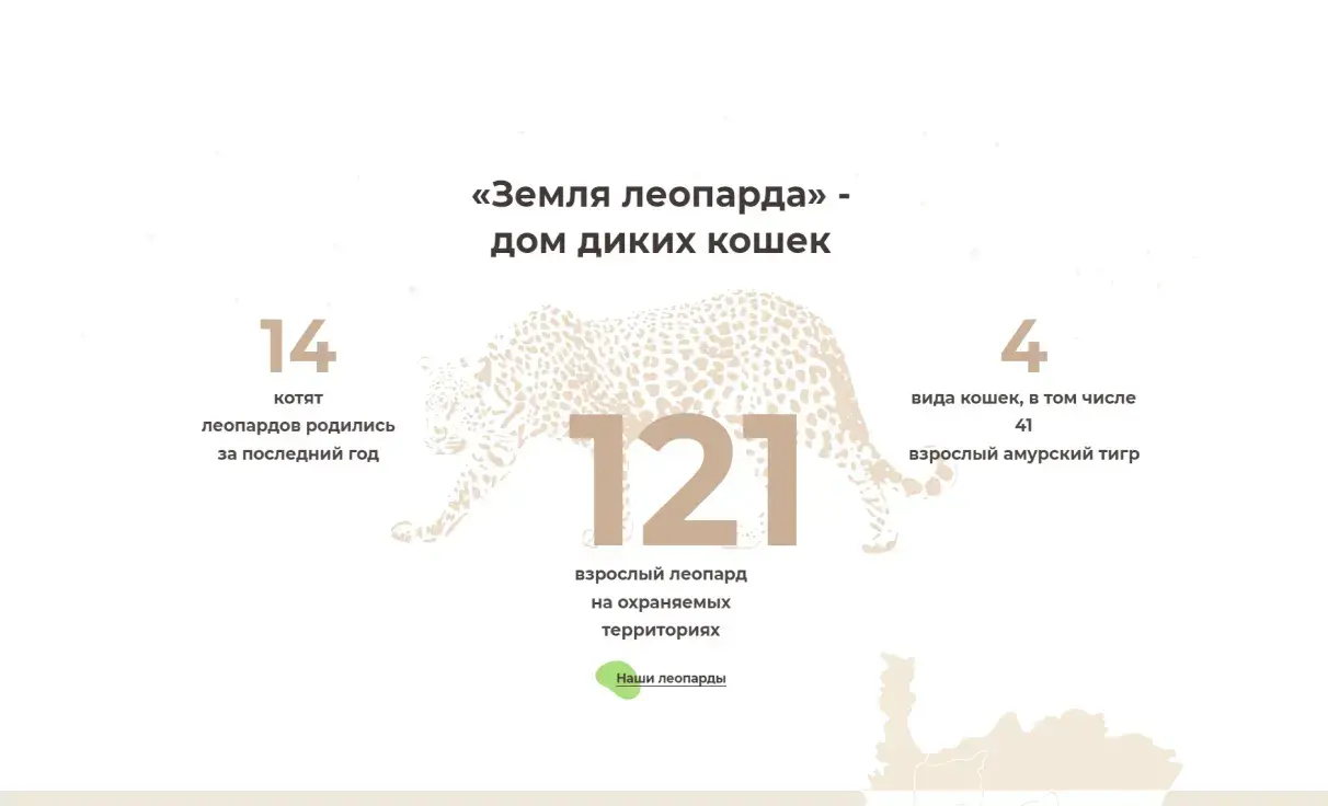 Посмотреть сайт