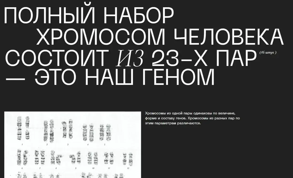 Посмотреть сайт