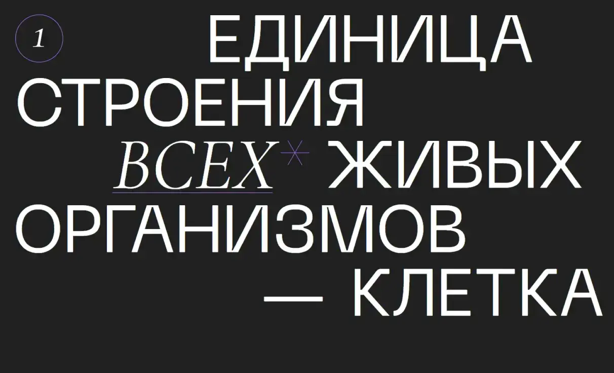 Посмотреть сайт