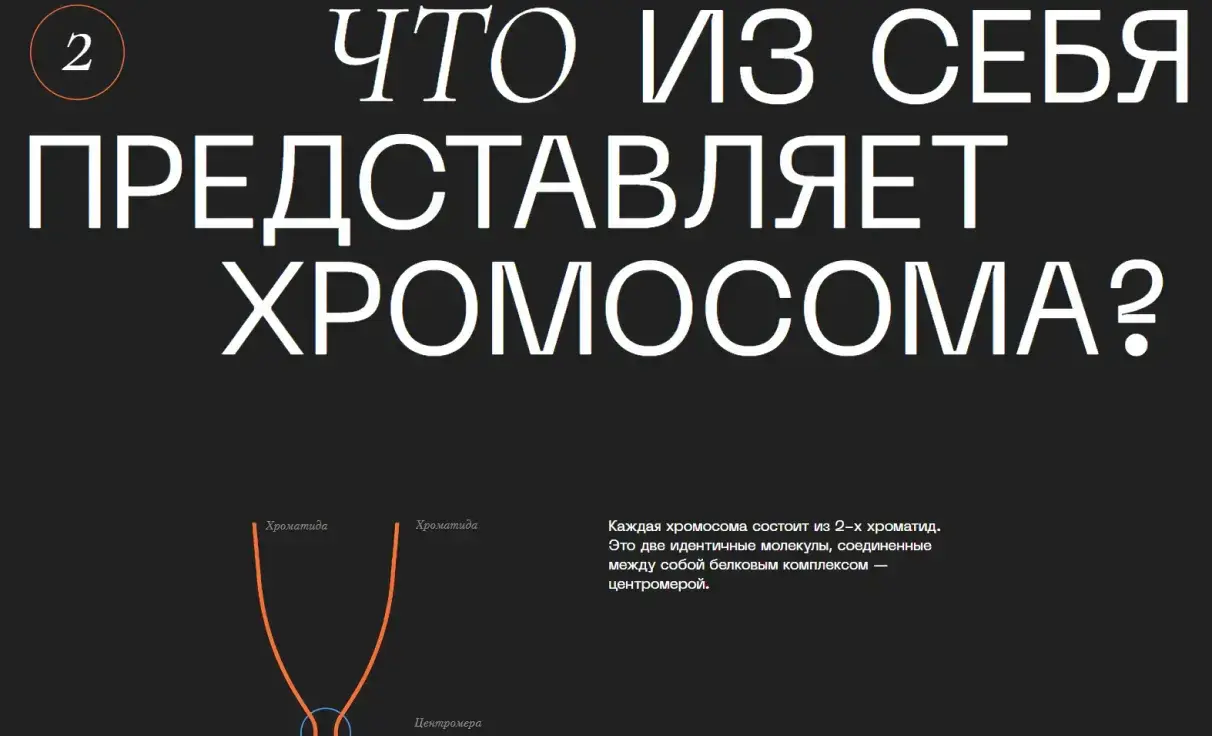 Посмотреть сайт