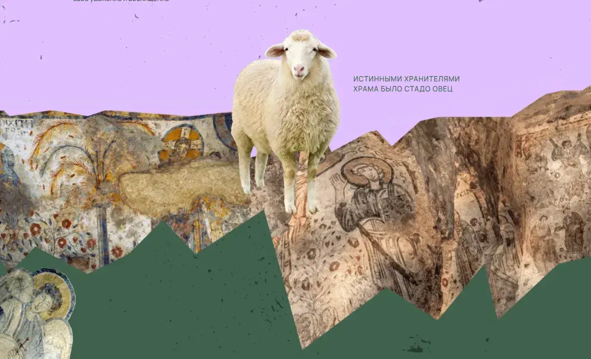 Посмотреть сайт