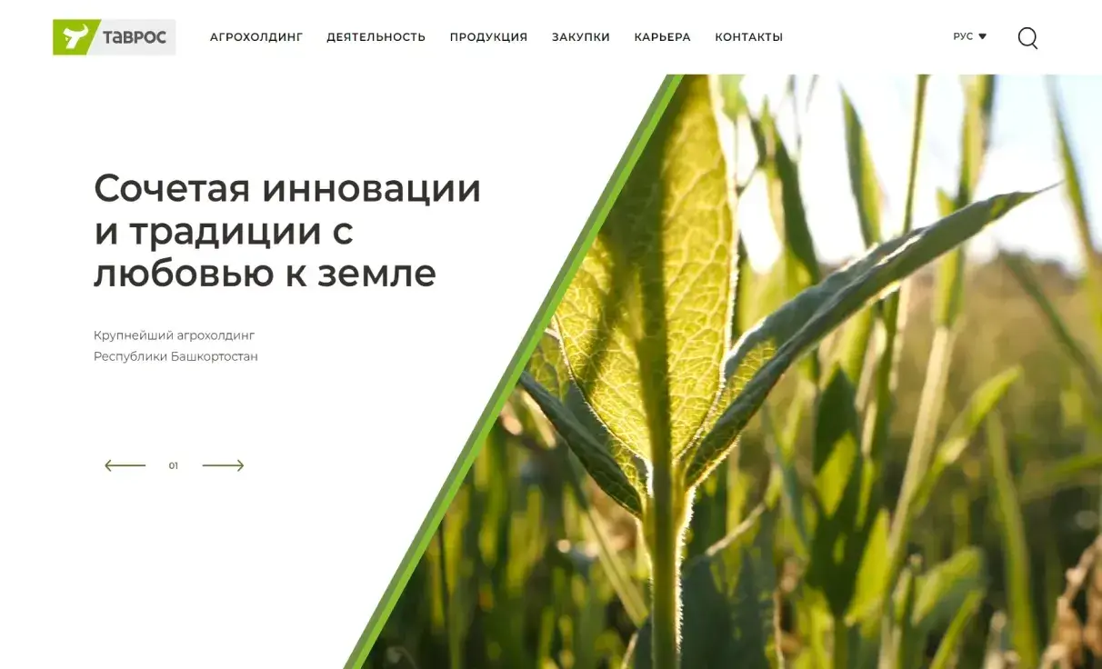 Посмотреть сайт