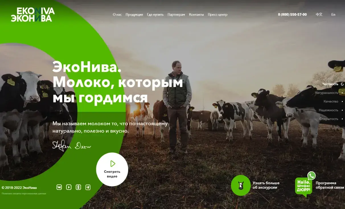 Посмотреть сайт