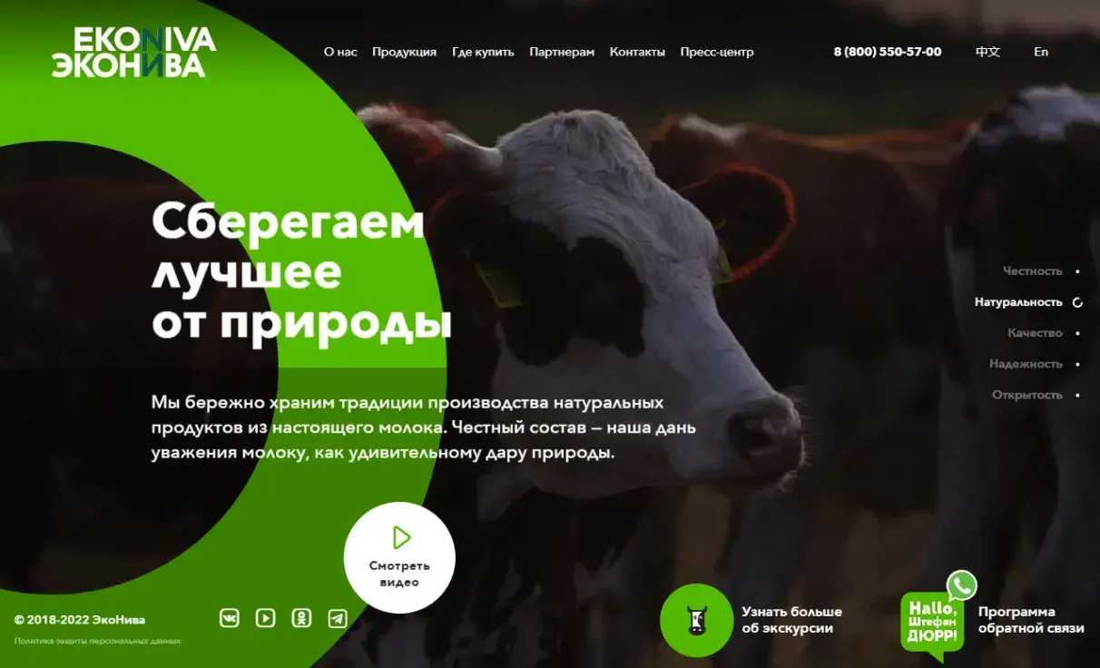 Посмотреть сайт