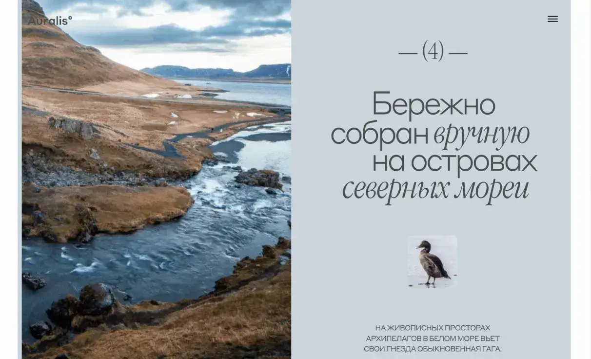 Посмотреть сайт
