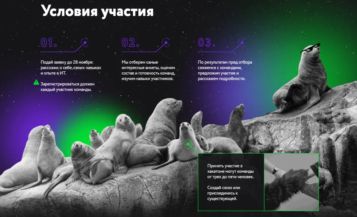 Посмотреть сайт