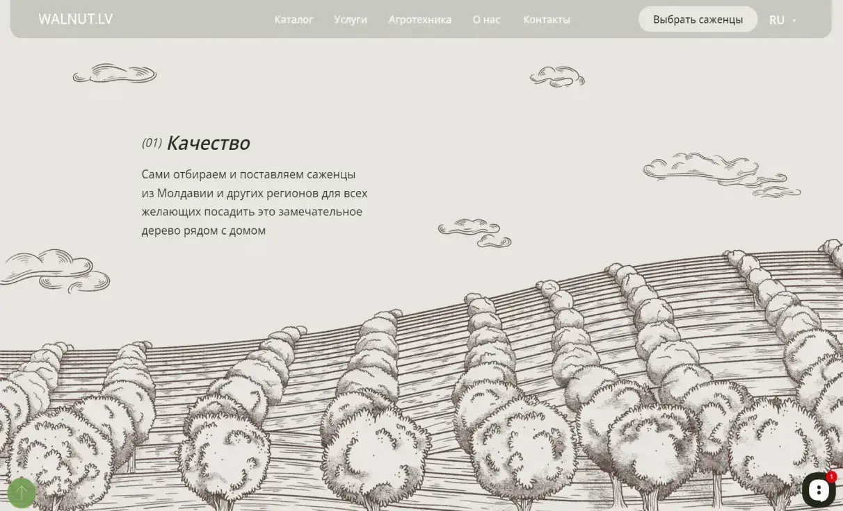 Посмотреть сайт