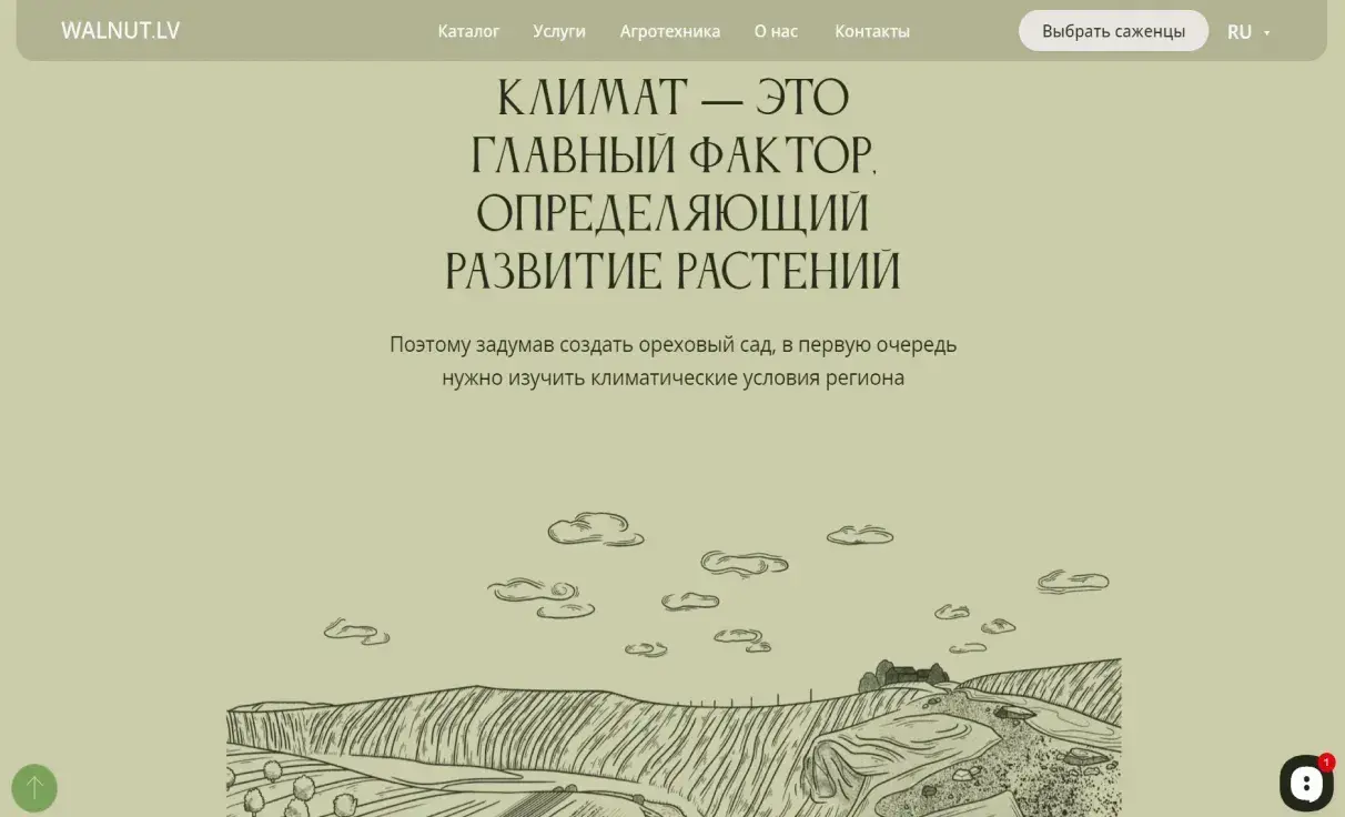 Посмотреть сайт