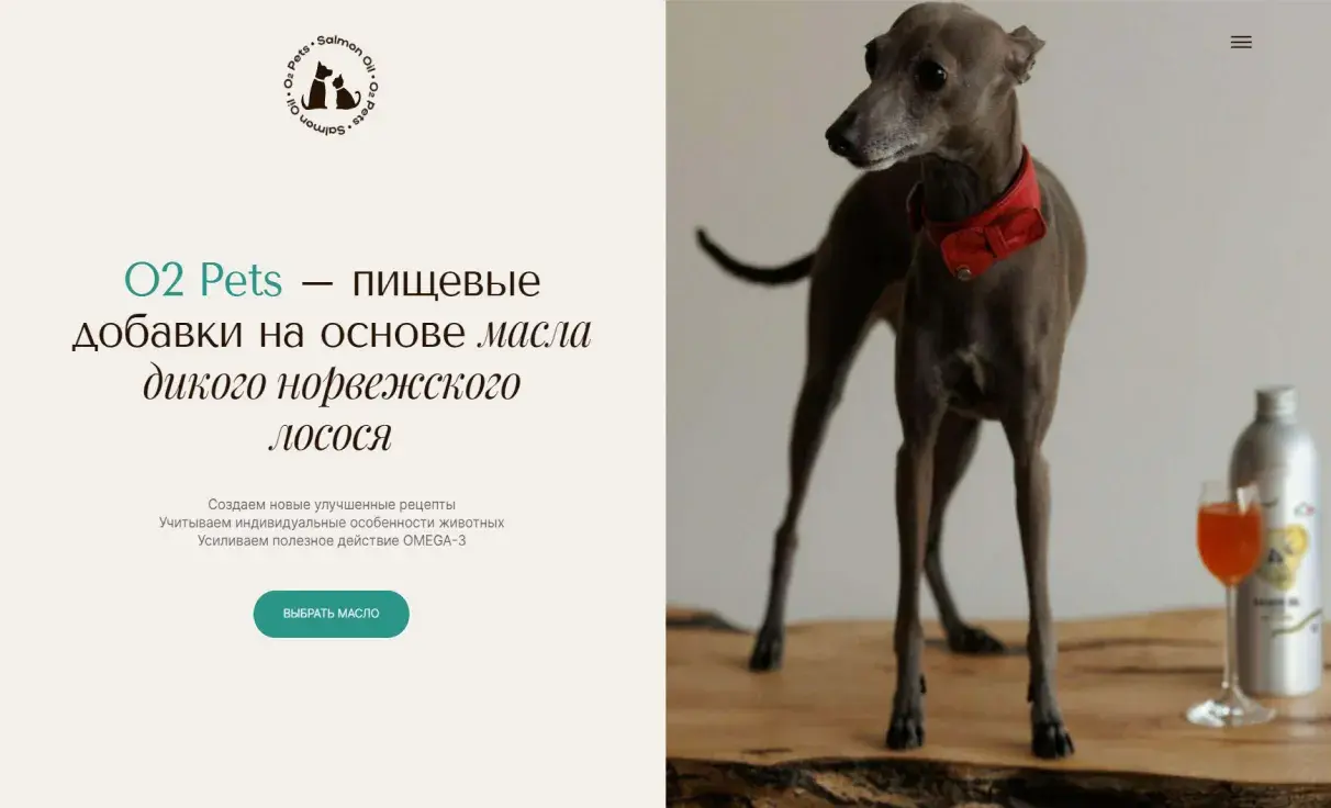 Посмотреть сайт