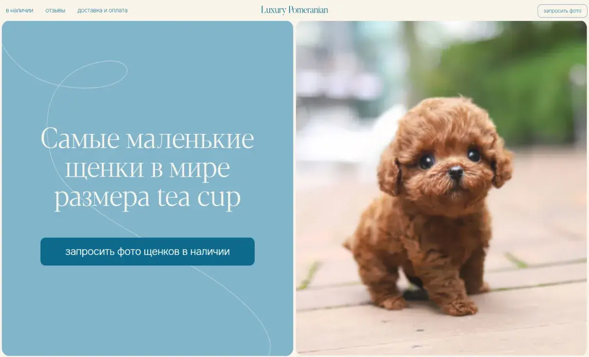 Посмотреть сайт