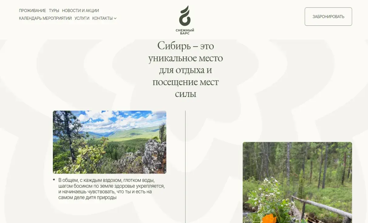 Посмотреть сайт