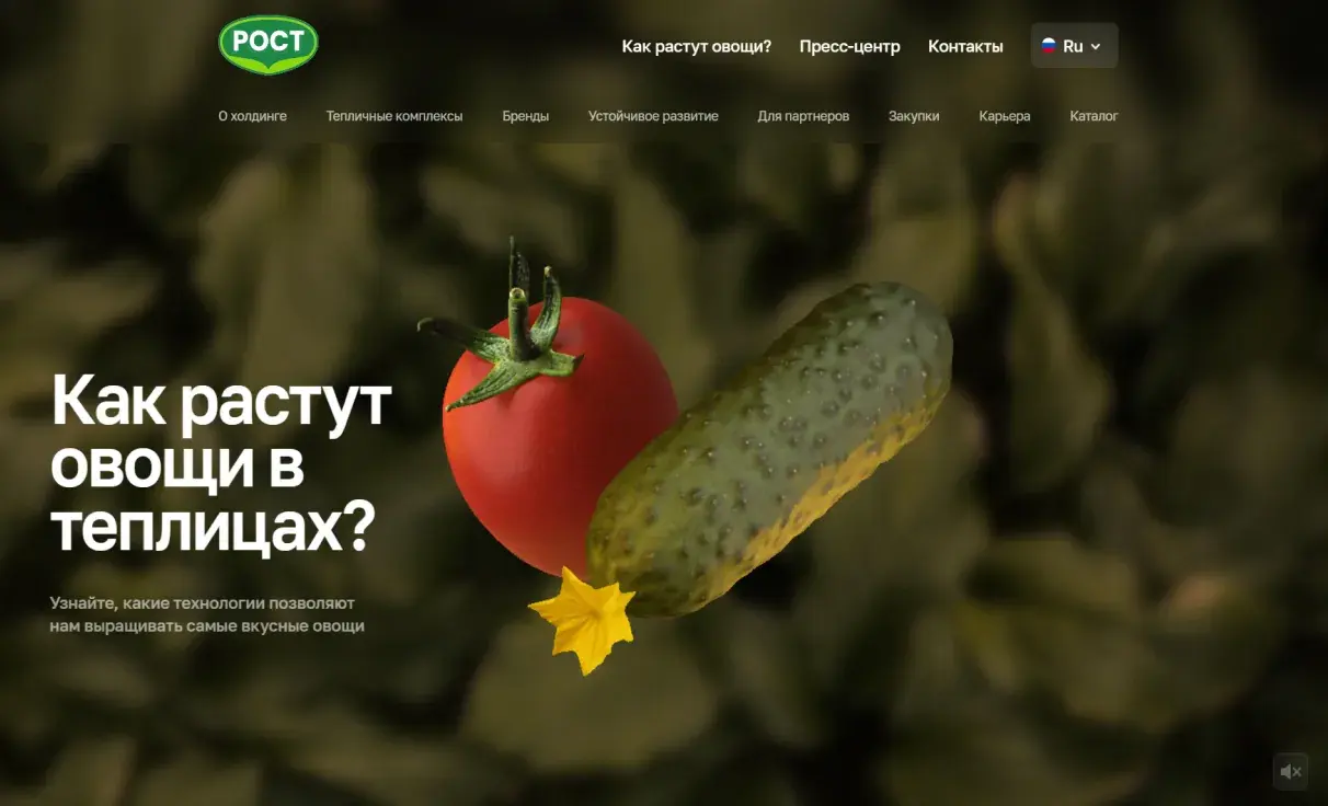 Посмотреть сайт