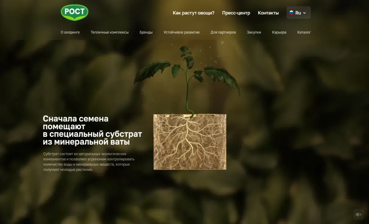 Посмотреть сайт