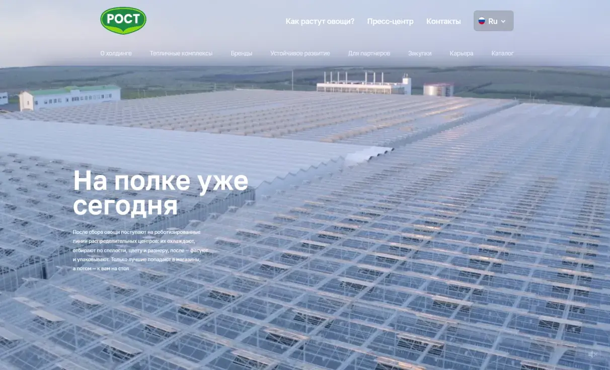 Посмотреть сайт
