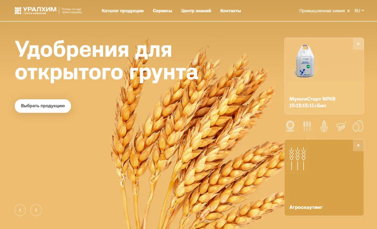 Посмотреть сайт
