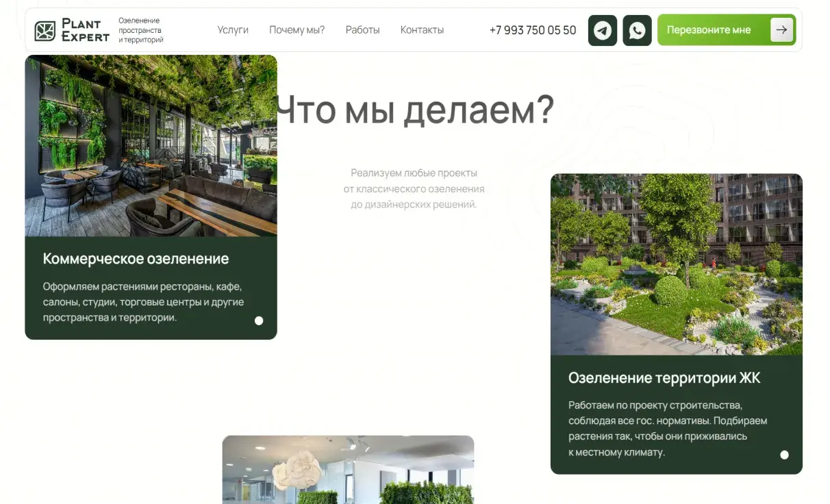Посмотреть сайт